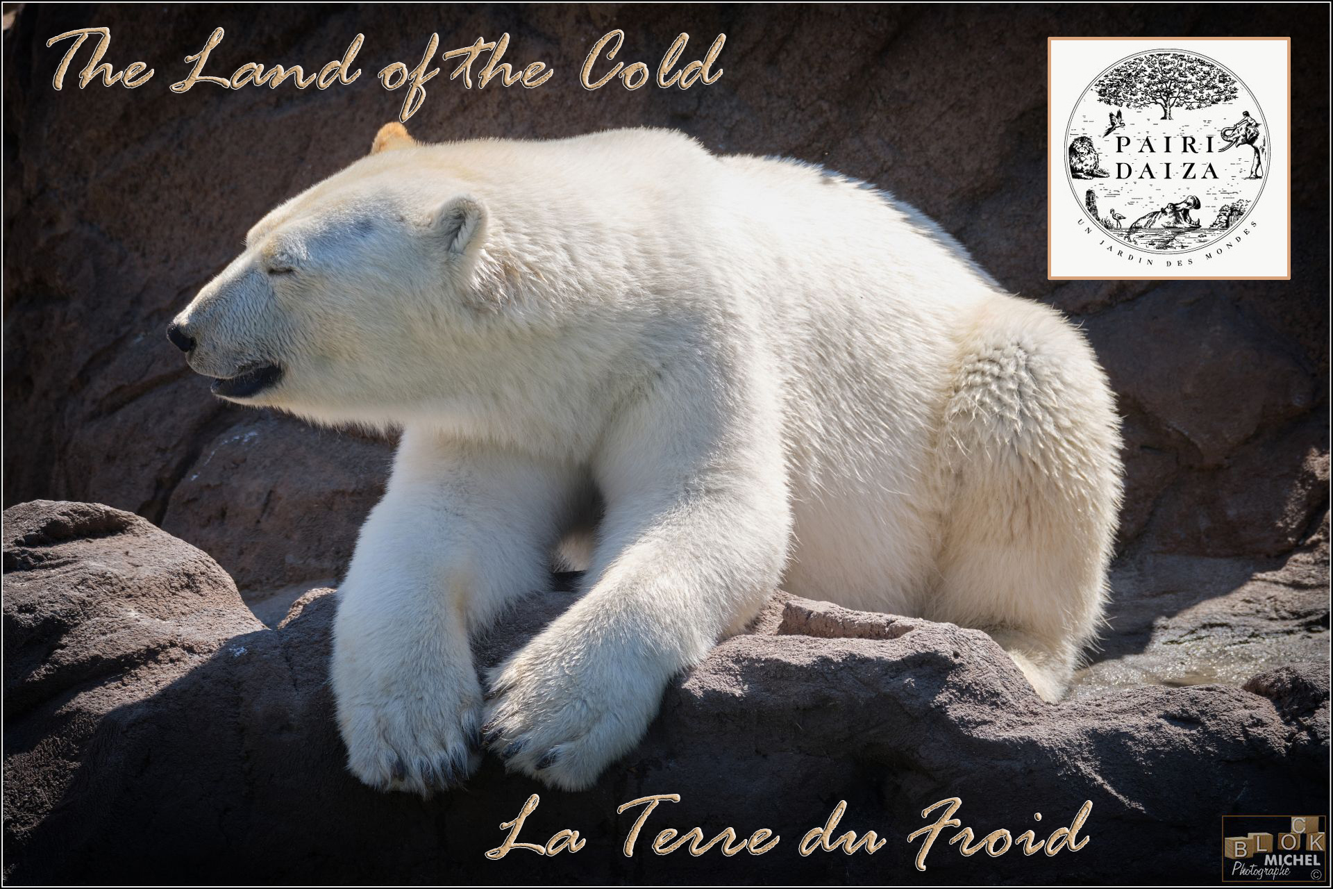 The Land of the Cold ~ La Terre du Froid @ Pairi Daiza 16/07/2020