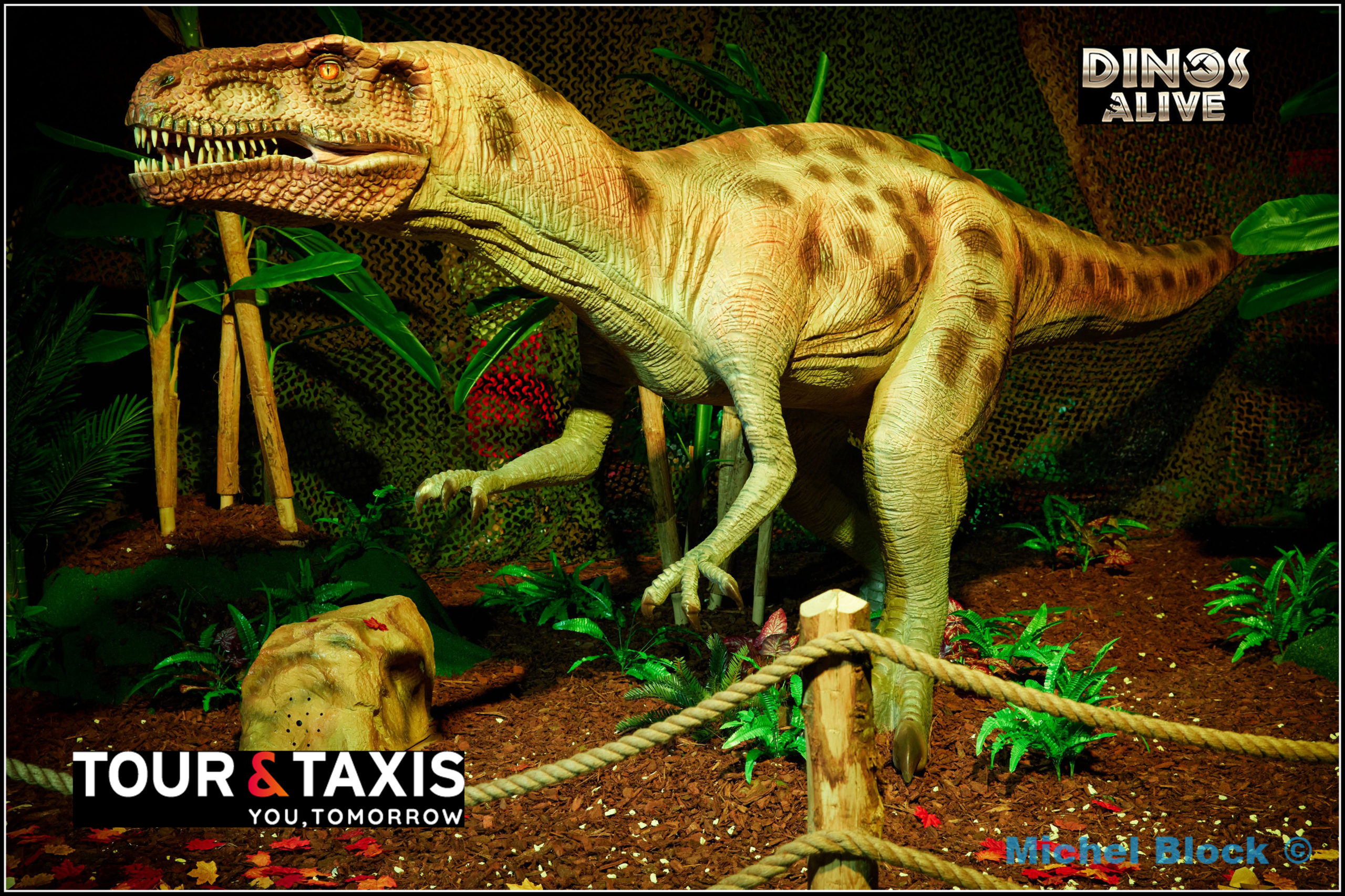 Dino Alive @ Tours & Taxis.