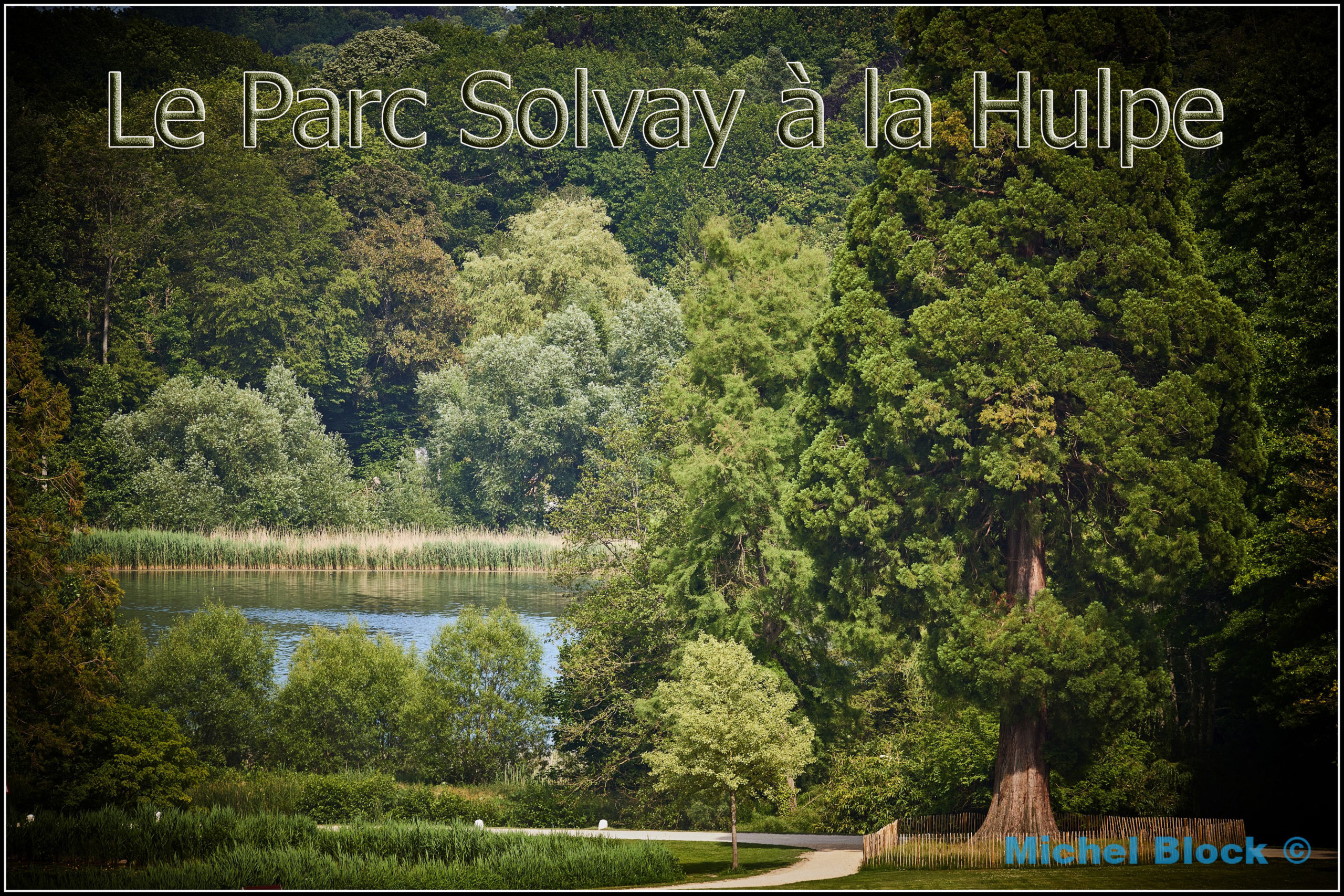 Le Parc de Solvay à la Hulpe 06/2021