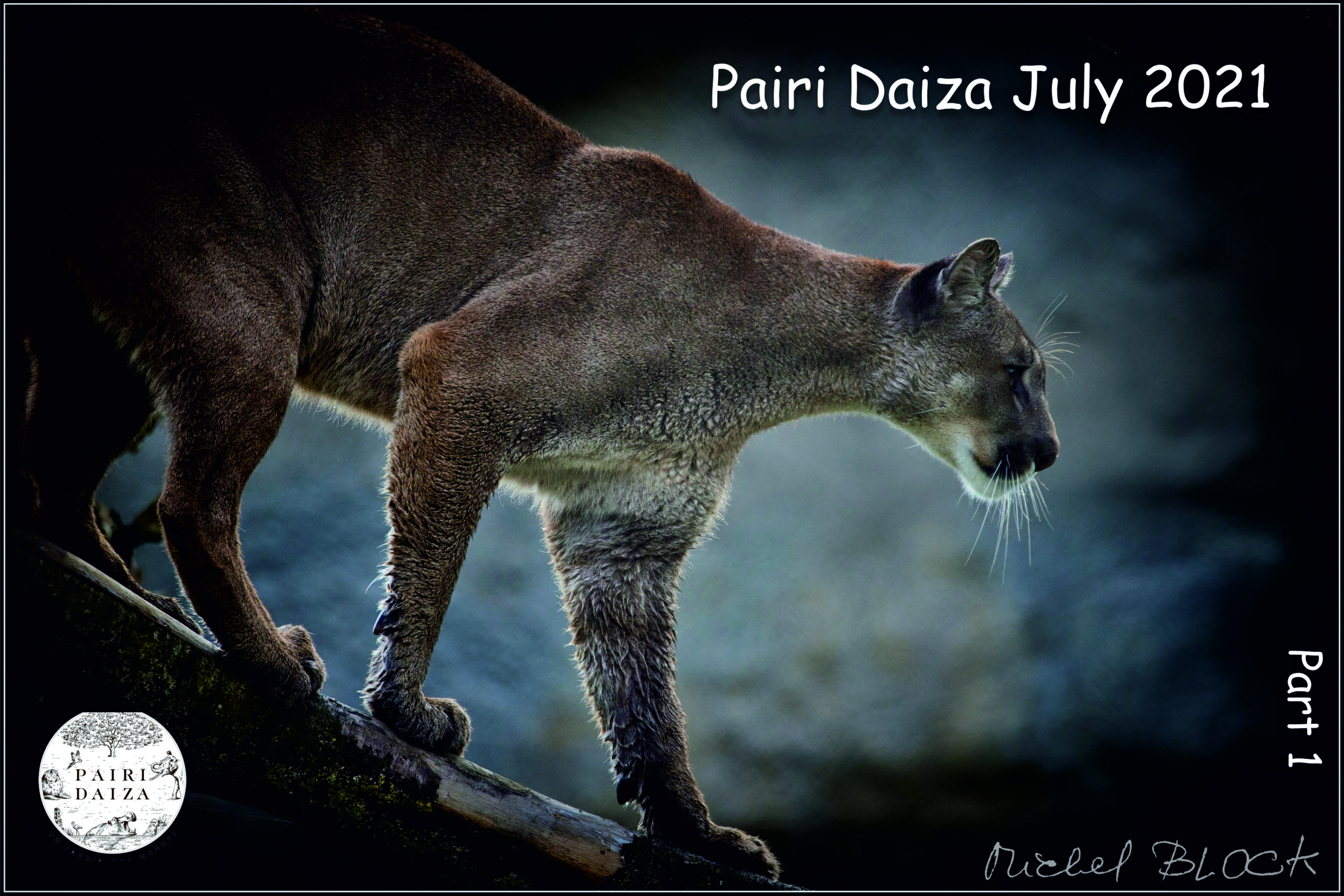 Pairi Daiza july 2021 part 1