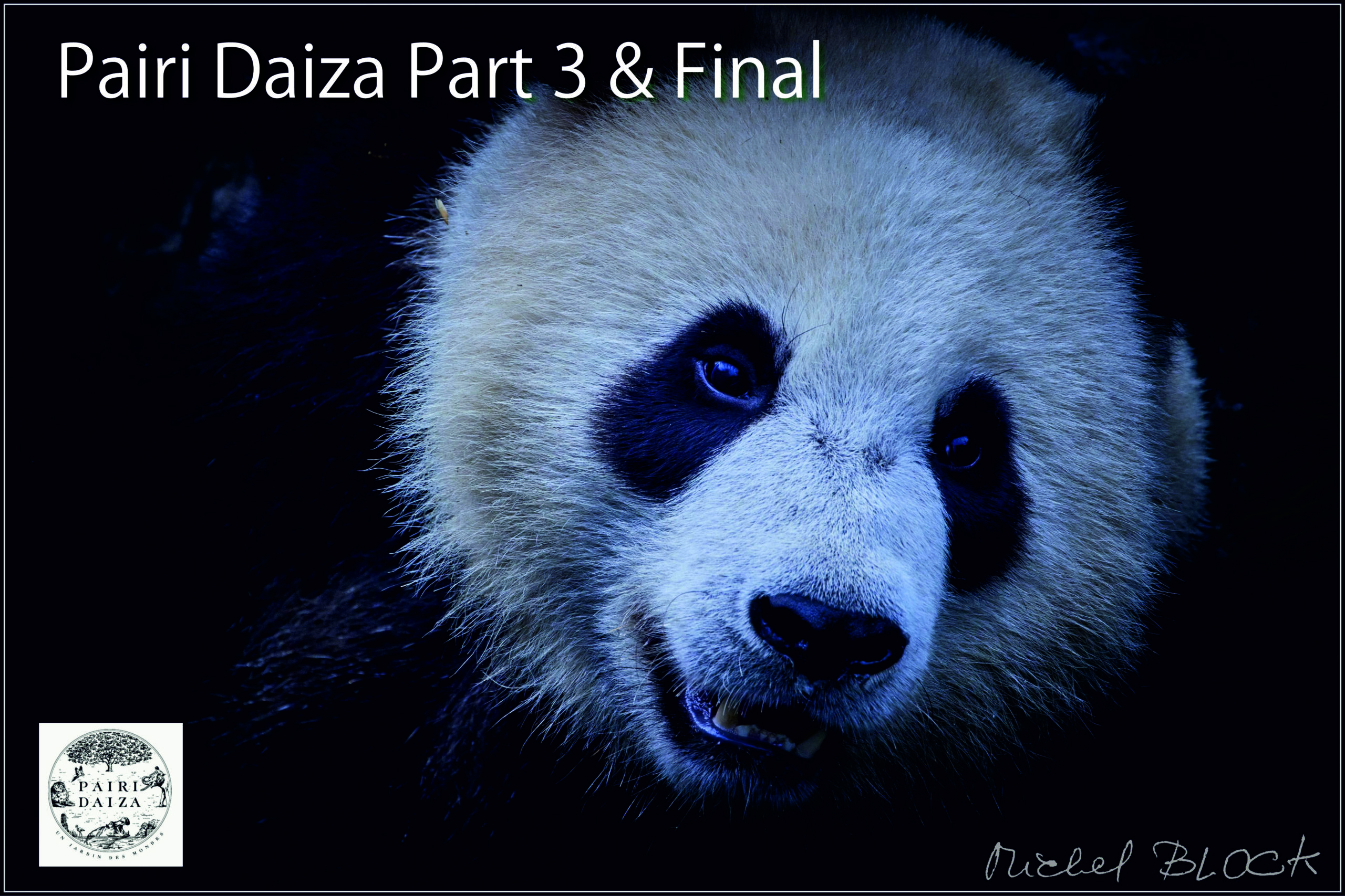Pairi Daisa Part 3 & final