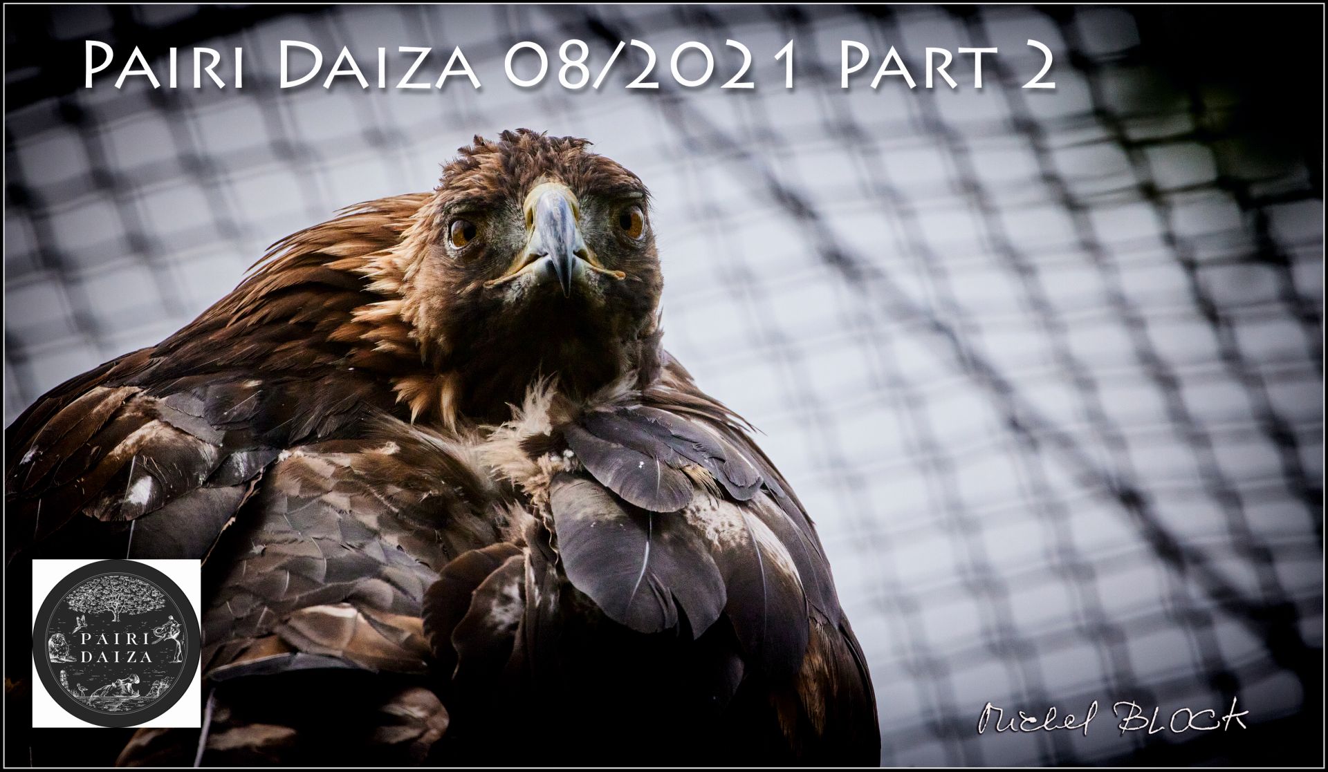 Pairi Daiza 08/2021 part 2